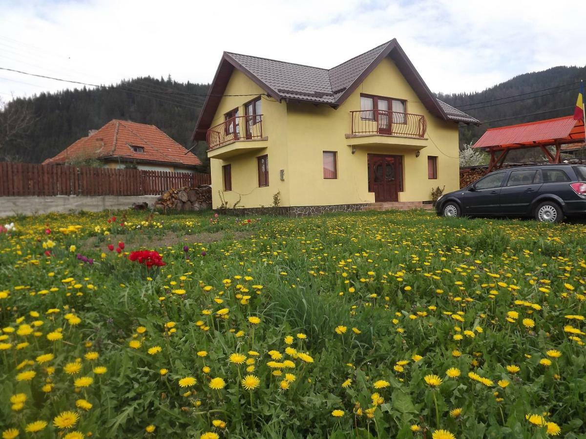 Casa Magnolia 호텔 Tulgheş 외부 사진